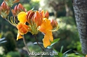 wbgarden spring 12